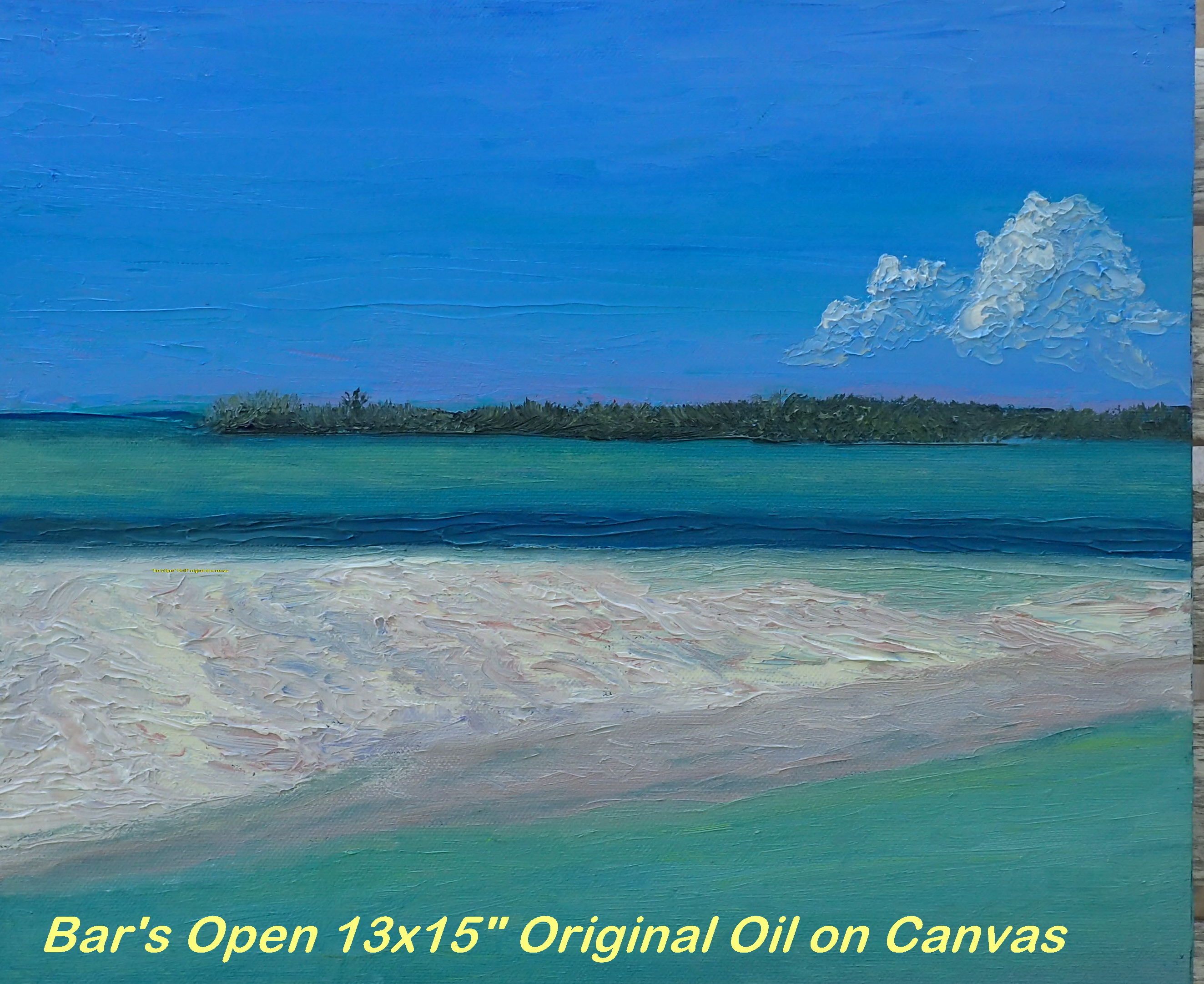 13x15" Oil Painting on canvas board.   Painted en plein air at Casaurina Point Abaco where the shallow sandy shore opens into a beautiful walking sand bar at low tides.  